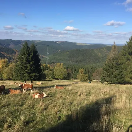 Am Rennweg Holiday home Neuhaus am Rennweg