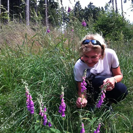Am Rennweg Casa vacanze *