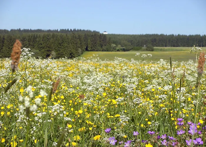 Am Rennweg Neuhaus am Rennweg
