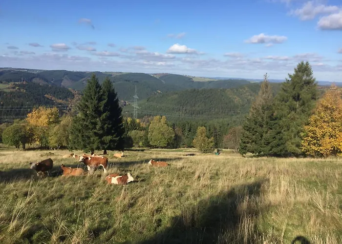 Am Rennweg Tatil Evi Neuhaus am Rennweg