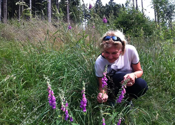 Am Rennweg Tatil Evi *